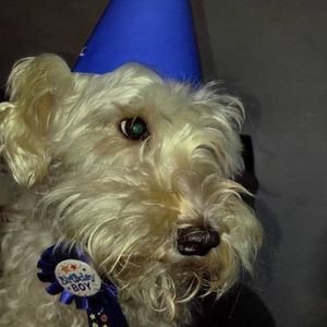 Meet your Posher, Anna